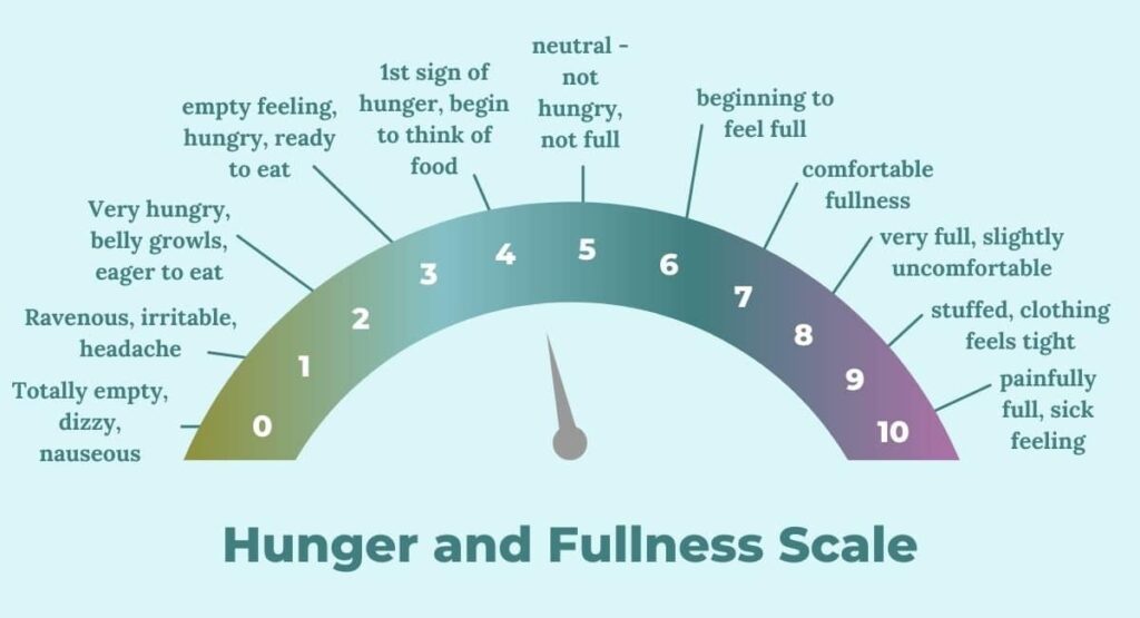 Hunger and fullness scale